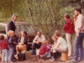 Potatissättning maj 1975